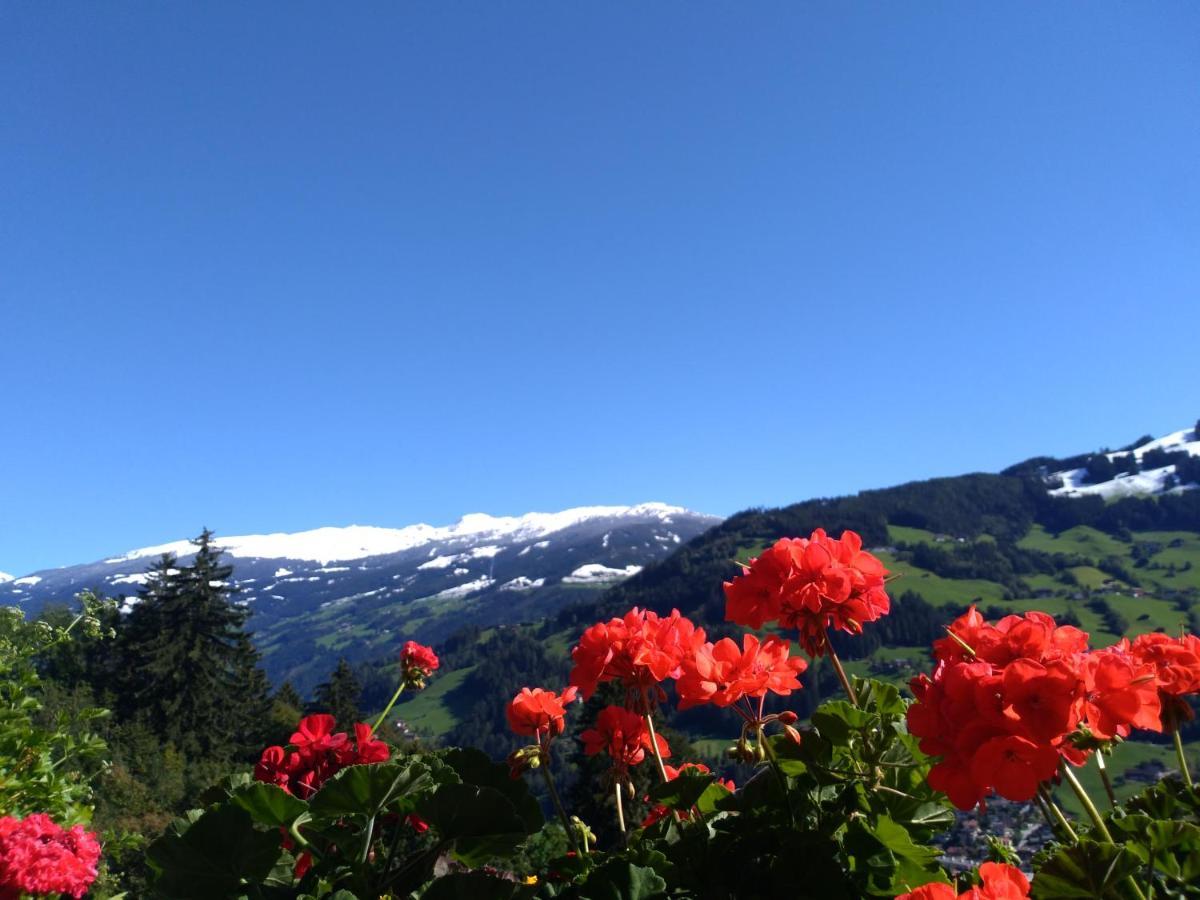 Zillertal Apartment Mit Traumausblick - Haus Kirchler هيباخ المظهر الخارجي الصورة