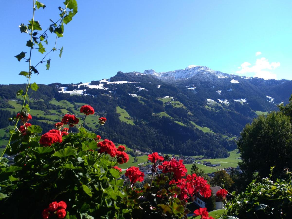 Zillertal Apartment Mit Traumausblick - Haus Kirchler هيباخ المظهر الخارجي الصورة