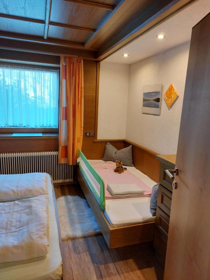 Zillertal Apartment Mit Traumausblick - Haus Kirchler هيباخ المظهر الخارجي الصورة